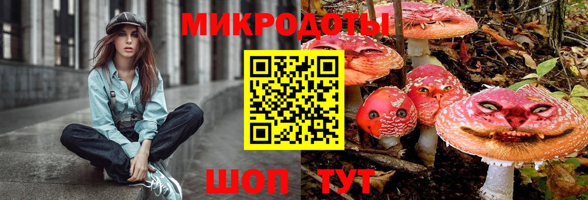 Вязьма  Галлюциногенные грибы прущие грибы  Вход с VPN 