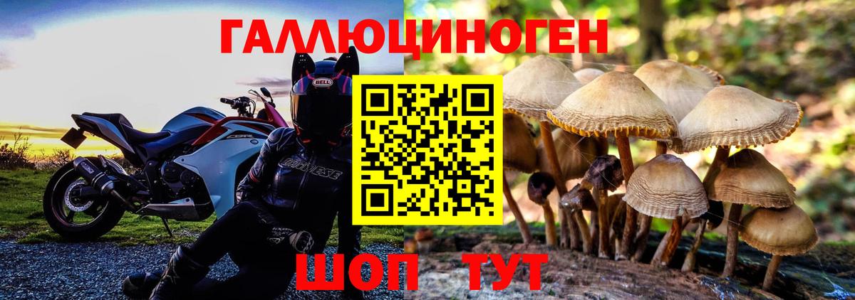 Псилоцибиновые грибы прущие грибы Вязьма